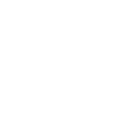 43434343